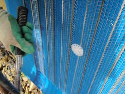 carrowcrory studio-3892.JPG